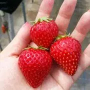 micotoの画像