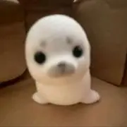VIAKSA CIOKKD
