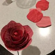 Kの画像