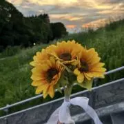 manyaの画像