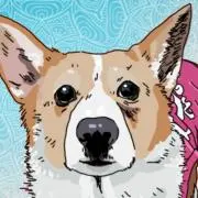 *みゅちままshop*