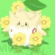 まいの画像