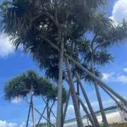 りょーた