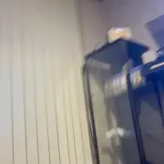 マッ・コリの画像