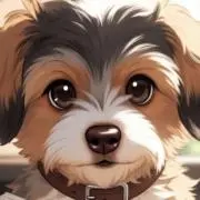 ふわぽちの画像