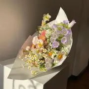 ✧︎