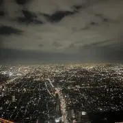 Image of t