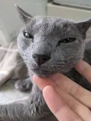 ぴざ