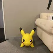 しいの画像