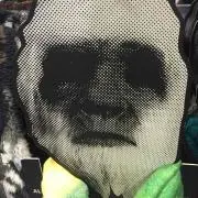 たーぼの画像