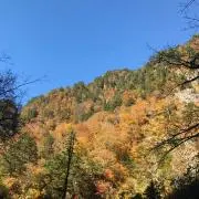 esyakoの画像