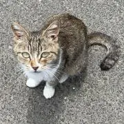 ♡ひかる♡