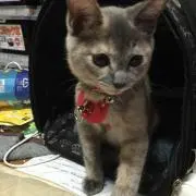 のん◆プロフ必読◆の画像