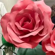 くるみママの画像