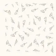 Coroの画像