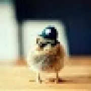 だいき