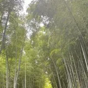 もみ◎次回発送7/8⚠️の画像