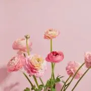 .〜.の画像