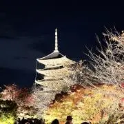 さららの画像