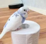えみ