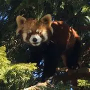 aaaaaの画像