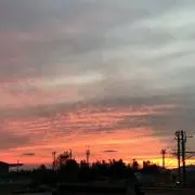 hinaの画像