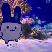 pepの画像