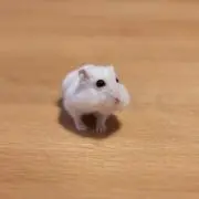 あいうえお0101