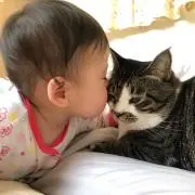 るるくんふぅちゃんプロフ見てください