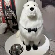コウの画像