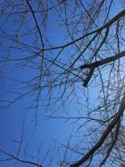 きい(プロフ必読願います)の画像