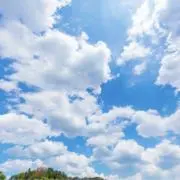 うぇんでぃ☆プロフご確認ください