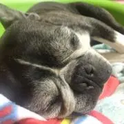 ともん(*☻-☻*)
