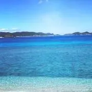 さらの画像