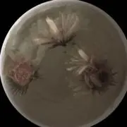 rinの画像