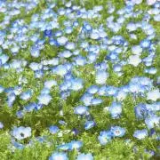 あ【断捨離中】の画像