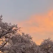 yum【プロフィール有】の画像