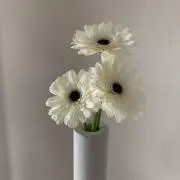 みんの画像