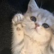なの画像