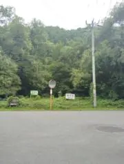サバス