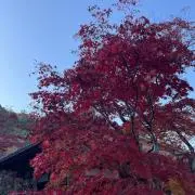 そらの画像