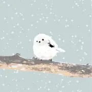 栗木の画像