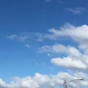つっちゃんの画像