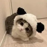 りおの画像