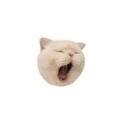 ぽぽの画像