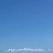 ひろの画像