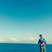 モス太郎