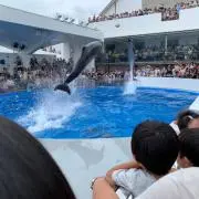 ゆきんこ