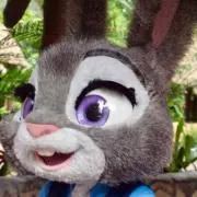 ニッシ