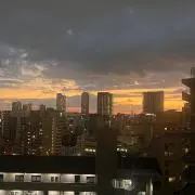 ボンの画像